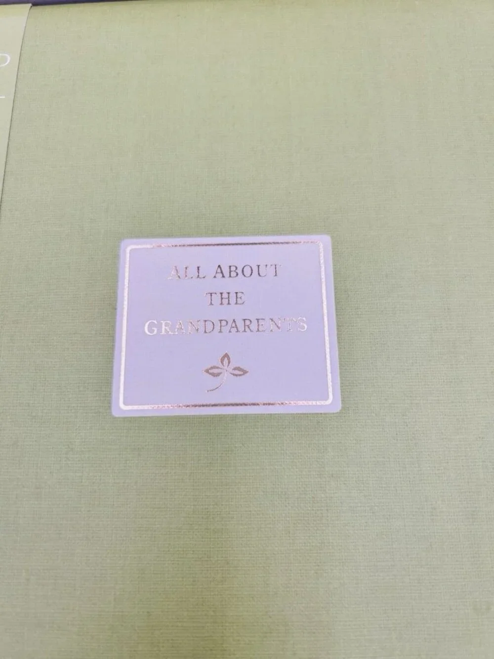 Hallmark All About The Grandparents Instant Memory Book/ Album New in Box